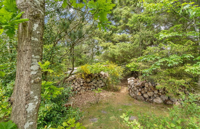 "Elevine" - 300m to the fjord - Foto 11