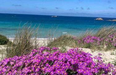 TY LOC POULFOEN - Foto 36