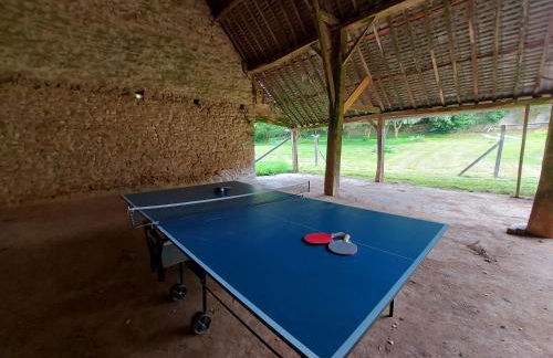 Rêveries aux Corbières, jusqu'à 6 personnes - Photo 3