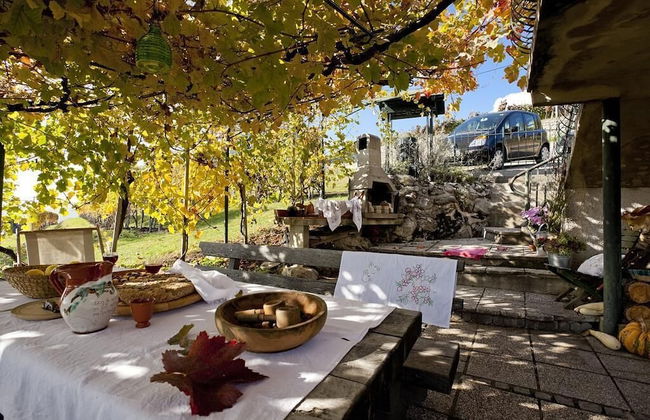 Vineyard cottage Verček - Photo 10