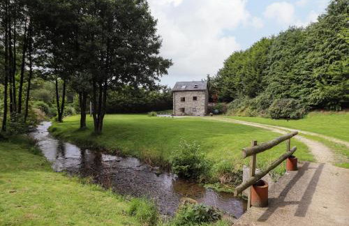 Yr Hen Felin - Foto 21