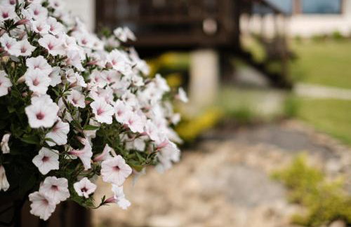 Dom Malowany - Domki - Foto 35