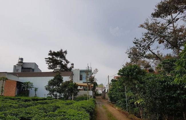 Sen Villa - Photo 15