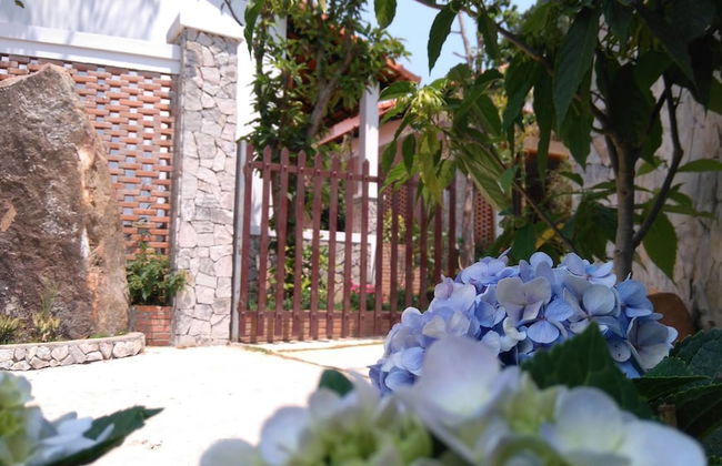 Miana Home - Foto 45