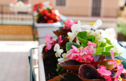 Lighthouse Ladispoli al centro - Foto 23