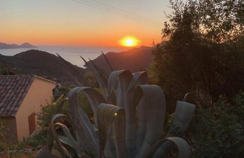 Les Asphodèles - Foto 36