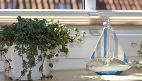 Ferienwohnung Sonnenblume - Foto 2