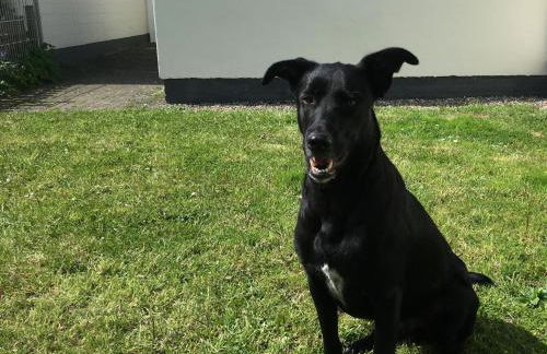 Haus Hallig Hooge - Foto 4