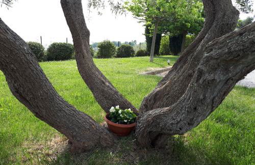 Cumana Blu Apartments - Foto 18