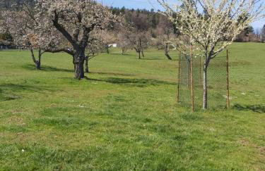 La maison dans les prés - Photo 16