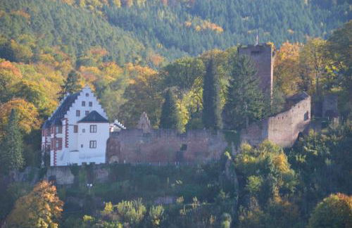 Panorama-Blick Miltenberg, 3 Pers., zentr., am Main, Terrasse, Bootverleih, P - Foto 25