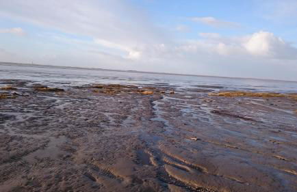 Ferienhaus Klabautermann - Foto 24