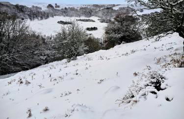 Rock Ridge Villa - Foto 31