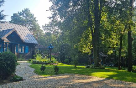 Niezapominajka - Foto 12