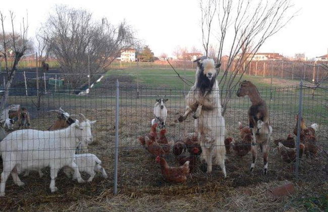 Agriturismo Quadrifoglio Relax - Foto 41