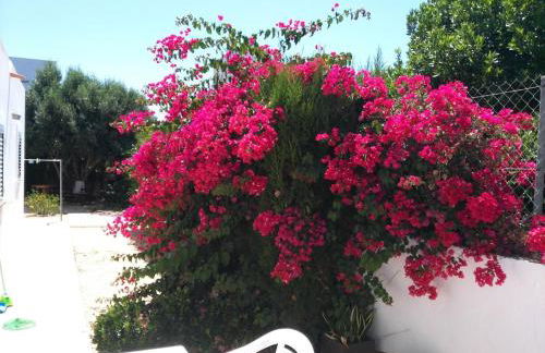 Casa Susana - Foto 36