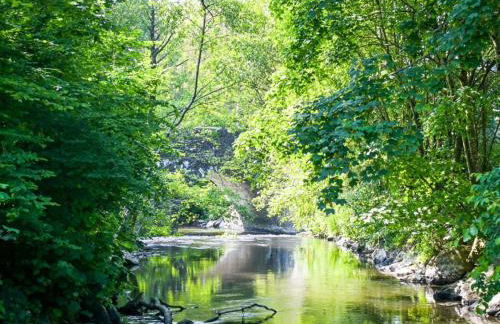 Gite Le Chevalier - Foto 18