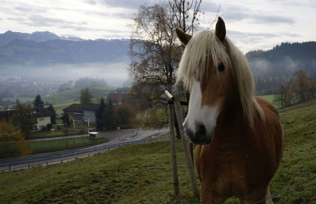 Bader Modern Retreat - Foto 12