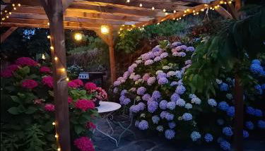 Maison traditionnelle avec vues sur St Michel - Foto 4