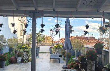 Garden Sky - Photo 5