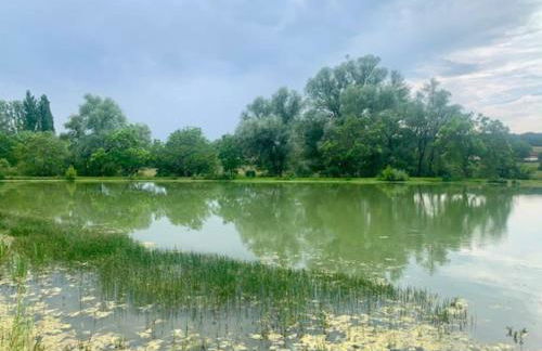 la maison Massonat - Foto 15