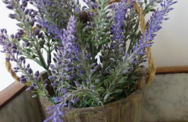 Gîtes "tout au sud de la France" - Foto 29