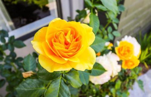 Amazing days Spa Pool Villa near Disney & Beaches - Foto 118