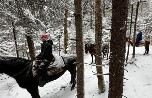 Lux Stay USA Ballhooter Vista Ski-InOut Hot Tub - Foto 45