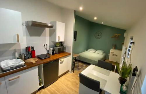 LE PATIO Studio-Terrasse Montbeliard-Centre - Foto 1