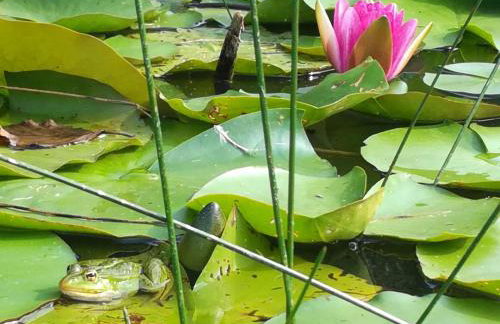 Domek Drewniany - Foto 34