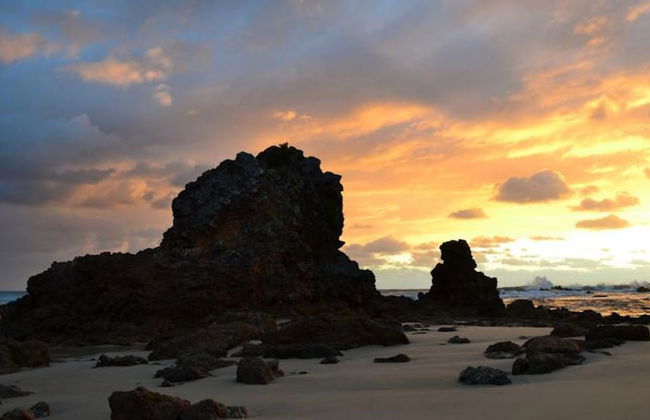 Flynns Beach Resort - Photo 23