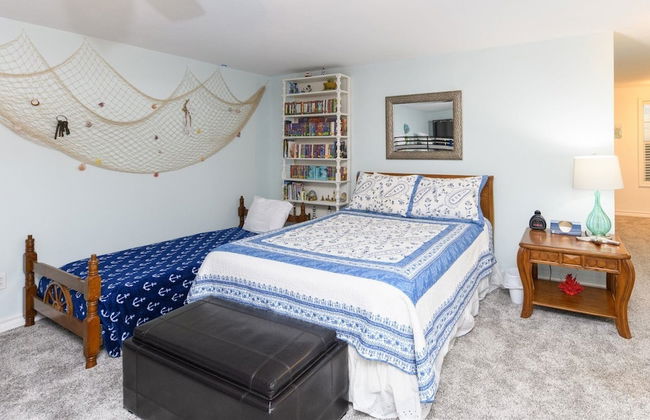 Dolphin Paradise - Photo 10