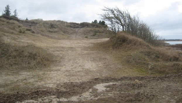 6 Person Holiday Home in Hadsund-by Traum - Foto 5