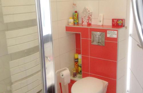 Petit coin de paradis avec jardin clôturé à Auch - Photo 16