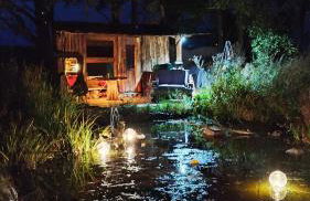 Auszeit inmitten der Natur - its a kind of magic - Foto 1