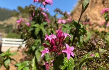 Chale Vista Bela - Gonçalves c/ vista p/ Montanhas - Photo 22