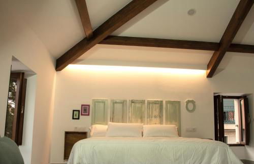 Marujita Vilanova, Boutique Lofts en el Centro Histórico - Foto 9