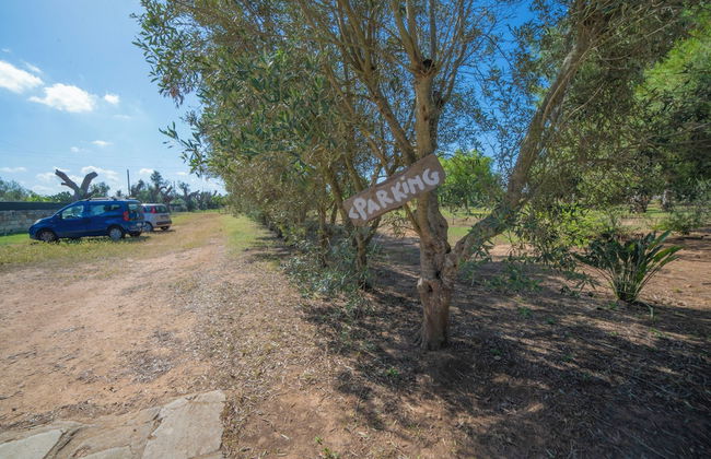 Masseria Le Palmentelle Pool And Garden - Photo 30