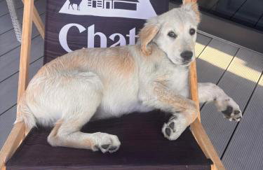 GLICZAROWA OSADA, Chata 18 osób, Domek 8 osób NA WYŁĄCZNOŚĆ, 8 sypialni z łazienkami, spokój, przyroda, wyjątkowe miejsce - Foto 24