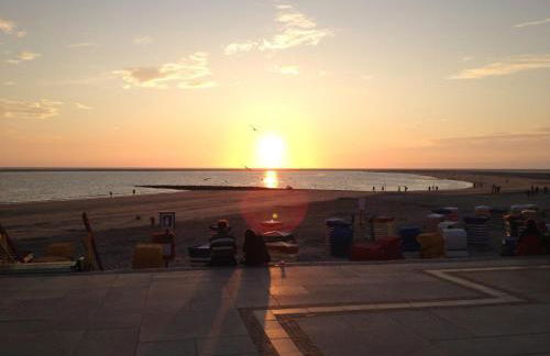 Borkumperle - Foto 16