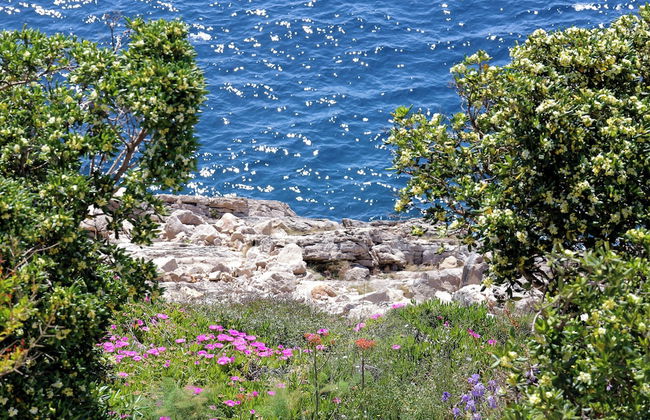 Kates place - Foto 42