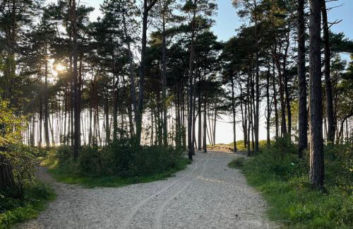 Domki Zalesie - Foto 45