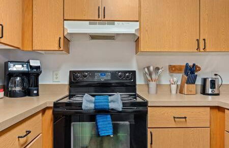 2 MI to USF + Long Term Stays allowed + Gym + Pool - Foto 36