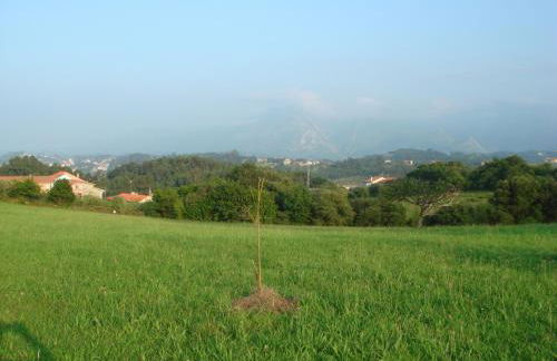 Los Picos de Tereñes - Foto 12