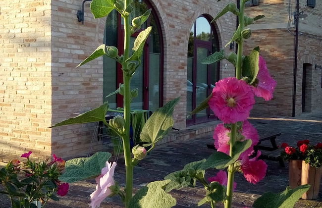 Agriturismo Forestale Luti - Foto 47