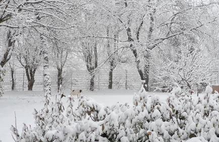 Ferienwohnung Ollywood Hill - Foto 25