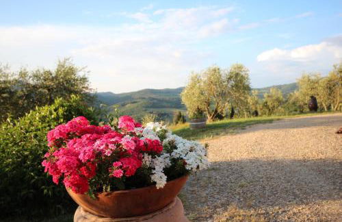 Tenuta il Poggetto - Foto 33