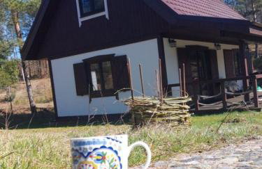 Domek na Kaszubach nad Jeziorem - Foto 4