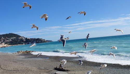 Les Terrasses D'Herold - Photo 2