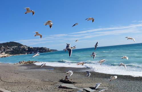 Les Terrasses D'Herold - Photo 2